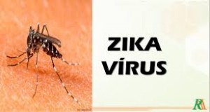 ιός Ζίκα
