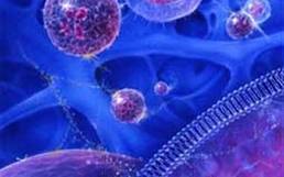 Βλαστοκύτταρα για την ανάπλαση του μεσοσπονδύλιου δίσκου 
