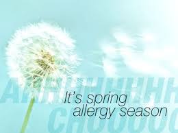 αλλεργία την άνοιξη