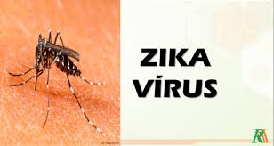 Ο ιός Ζίκα
