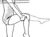 άσκηση στο νερό-τετρακέφαλοι